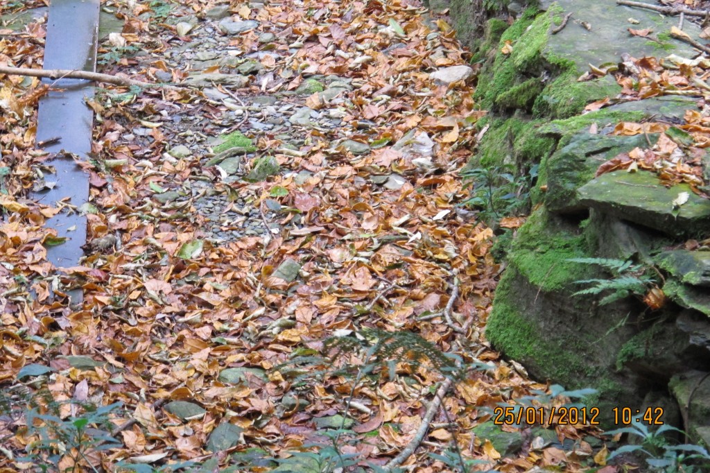 點選圖片以觀看原圖