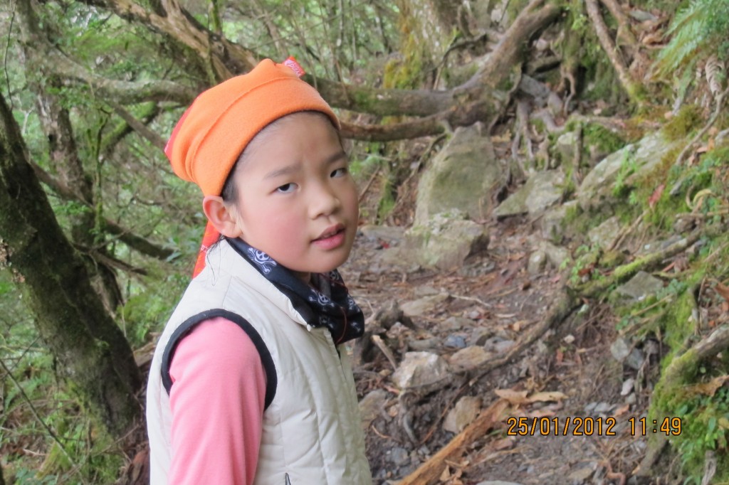 點選圖片以觀看原圖