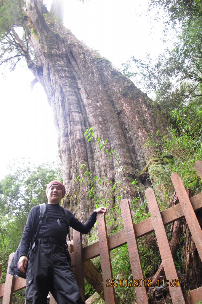 點選圖片以觀看原圖
