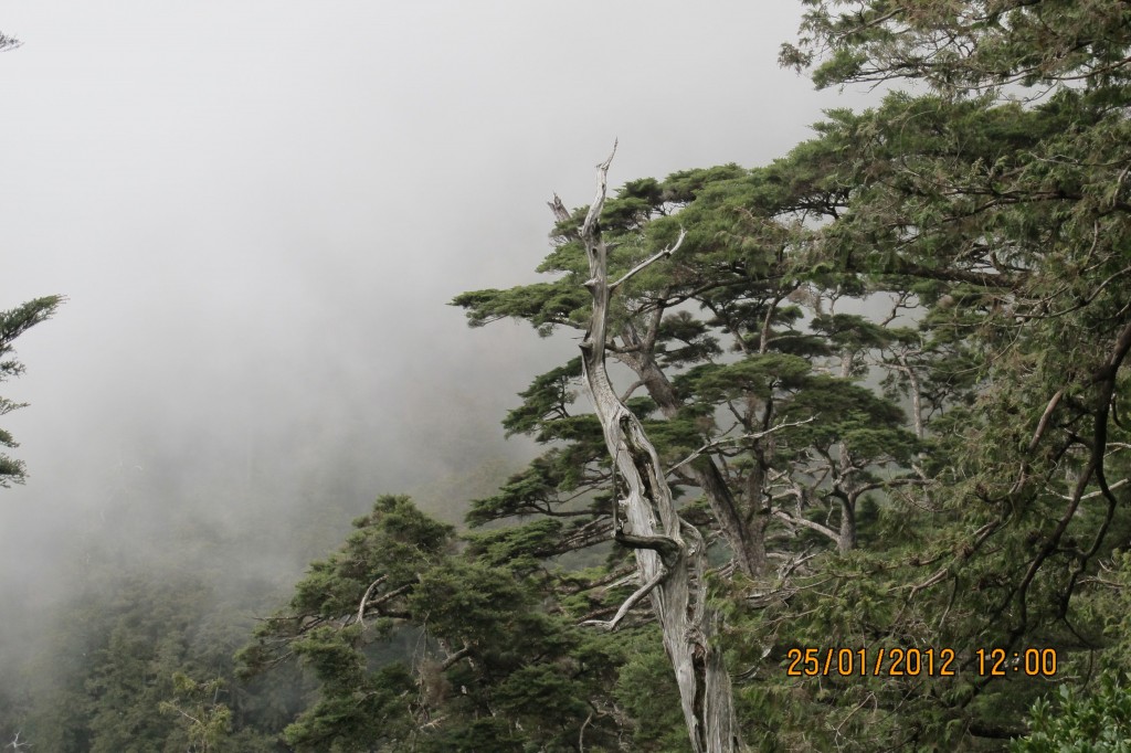 點選圖片以觀看原圖
