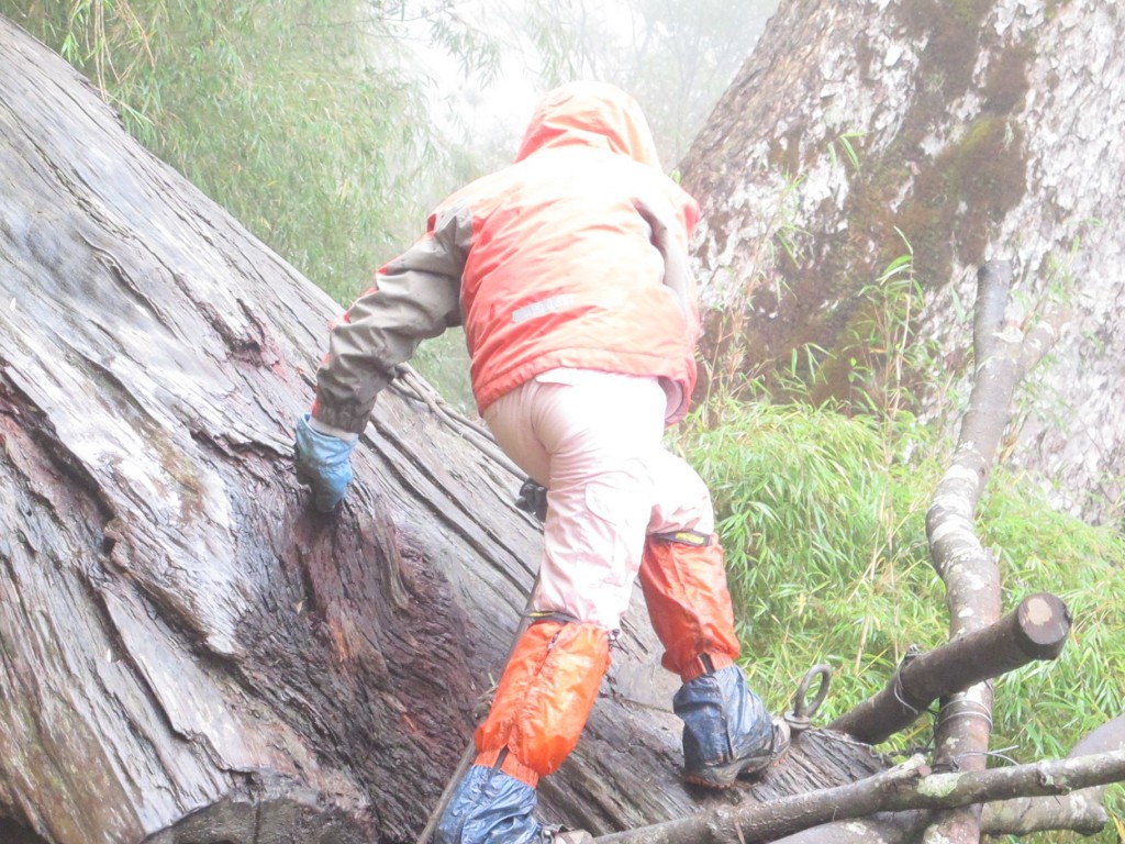 點選圖片以觀看原圖