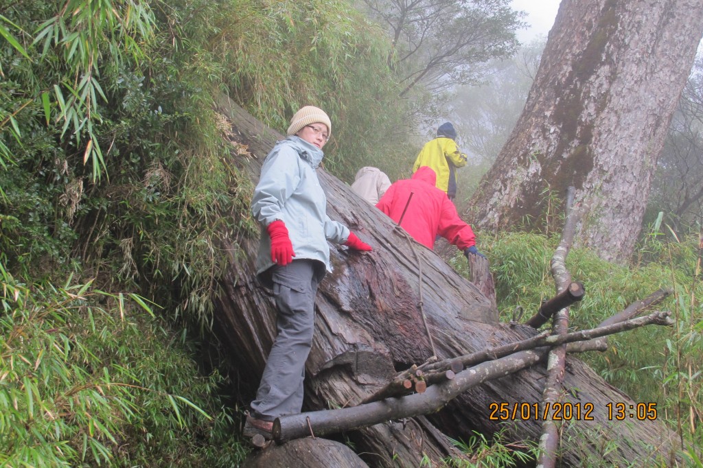 點選圖片以觀看原圖