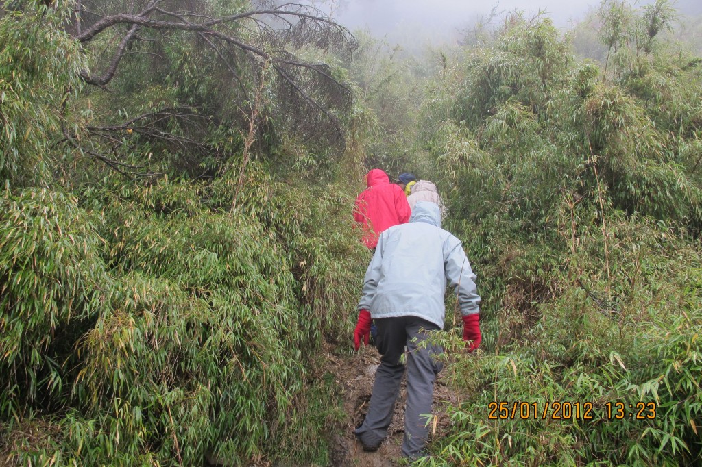 點選圖片以觀看原圖