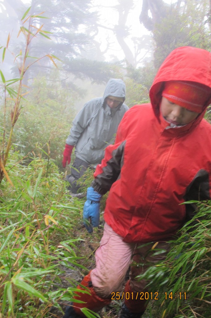 點選圖片以觀看原圖