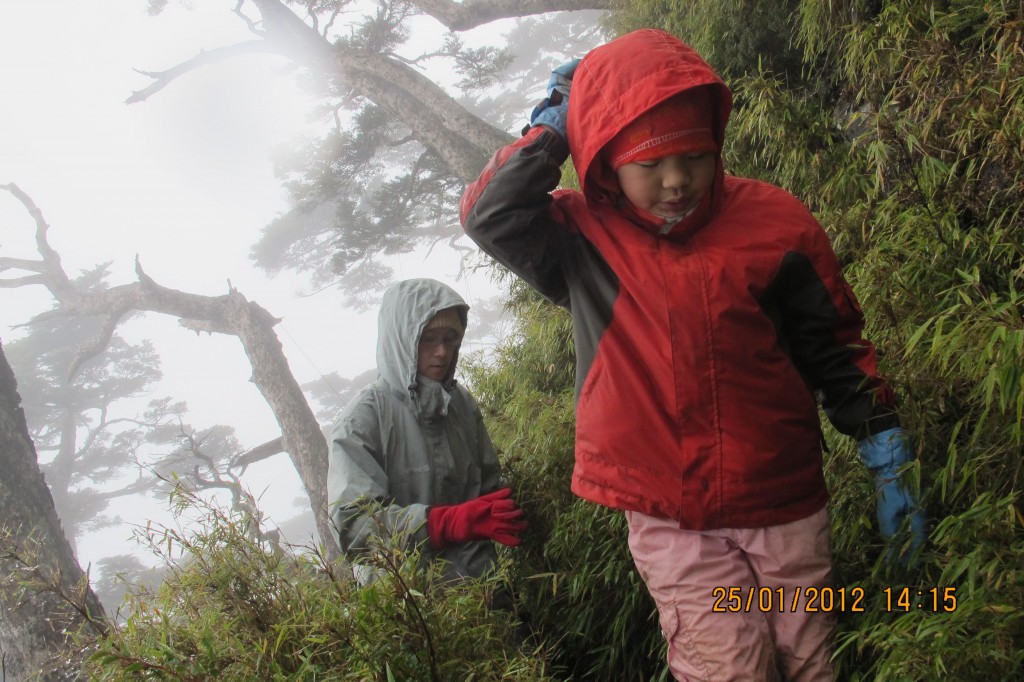 點選圖片以觀看原圖