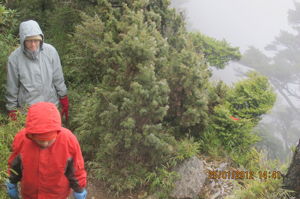 點選圖片以觀看原圖