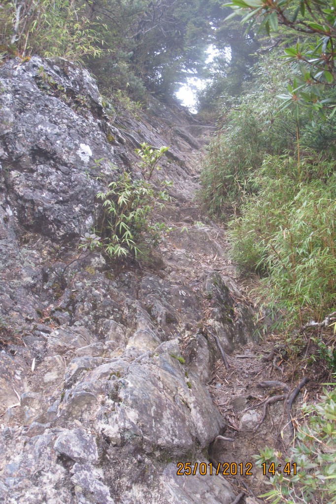 點選圖片以觀看原圖