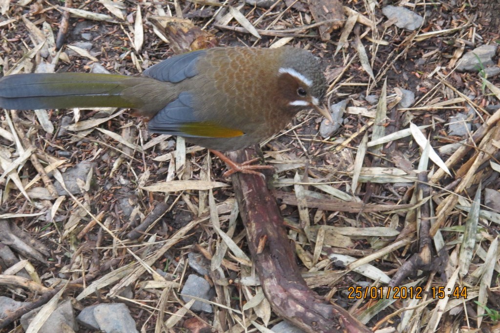 點選圖片以觀看原圖