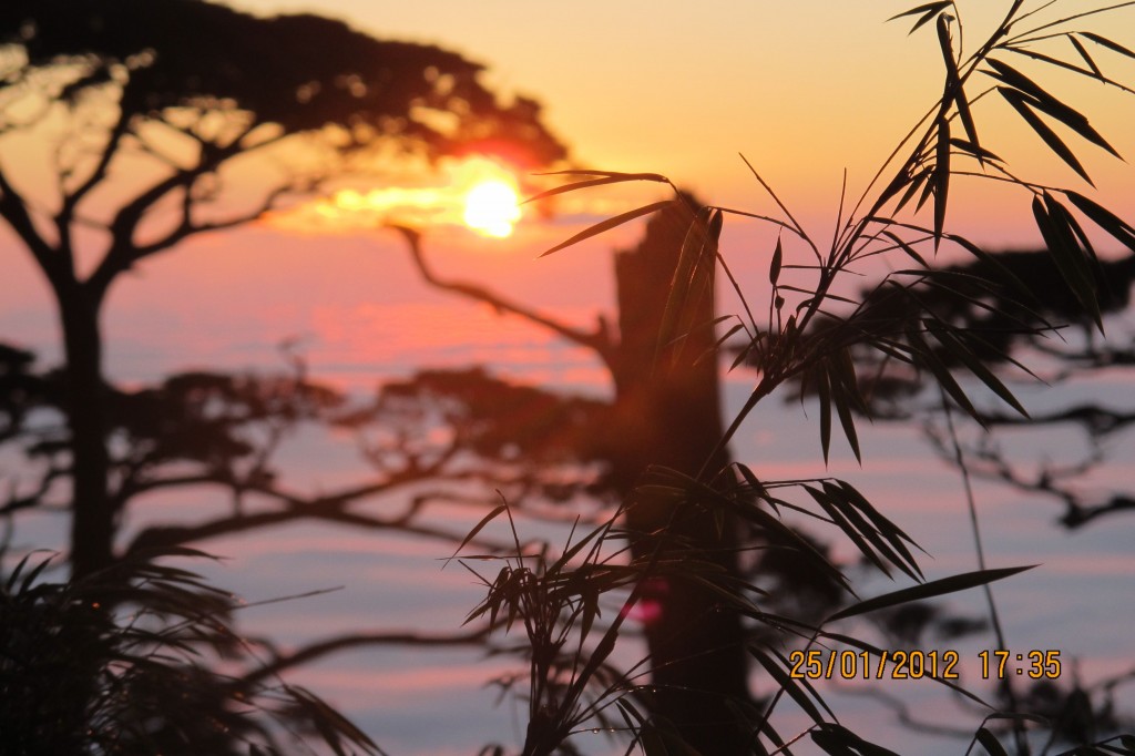 點選圖片以觀看原圖