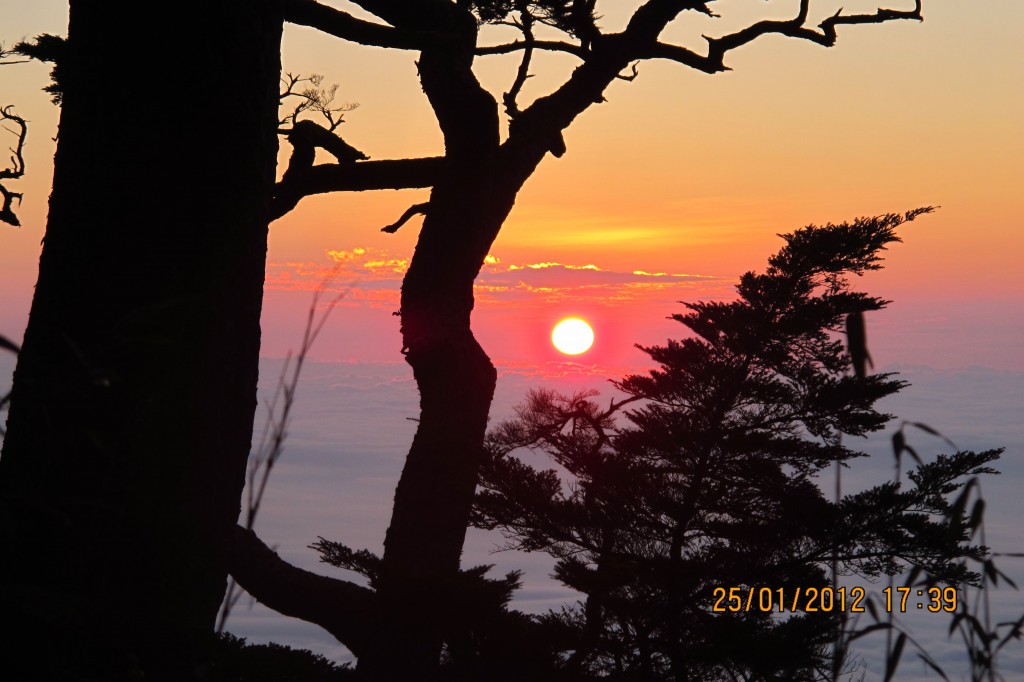 點選圖片以觀看原圖