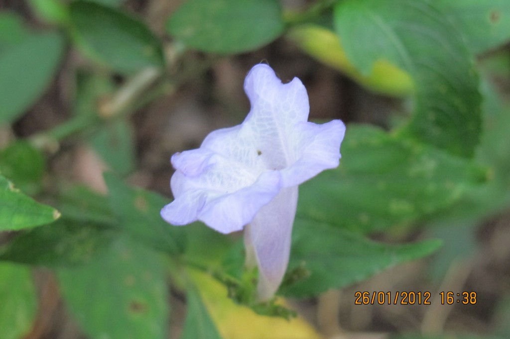 點選圖片以觀看原圖